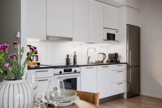 Sauna, balcony, wifi, trainstation, Mall of Tripla - Helsinki - 4