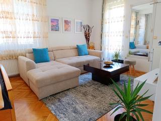 Vila Sentić - Vranje - 8