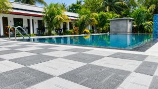 Coconut Leaf Shadow Guest - 8