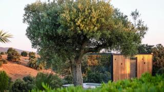 CORK VALLEY - Pet Friendly & Only Adults - 2