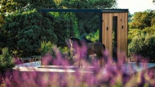 CORK VALLEY - Pet Friendly & Only Adults - 9