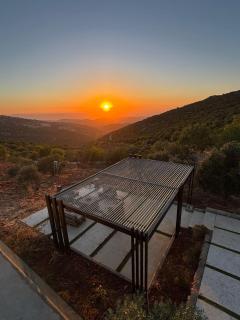 AlFahed Farm - 6