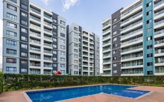 Novelle Homes - 8