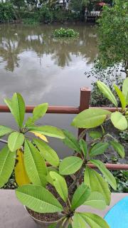 Lặng Homestay - Phong Điền Riverside - 5