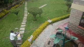 Mutabari's Home - 1