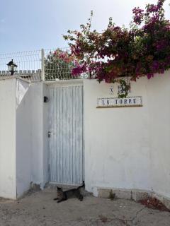 La casita de madera - 6