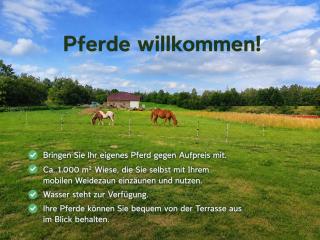 Ebenerdiges Ferienhaus auf 24000 qm mit Sauna, Weitblick & Terrassen - NaturZentral - 3