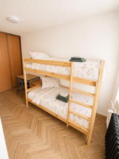 2-Bd Apartment - Festival Pohoda Nearby - 5