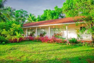 Neem Tree Boutique Resort - 2