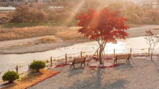Hongcheon Yeoyuchae Pension - 5
