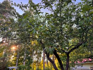 Peaceful Semi-Detached home near the lake - 5