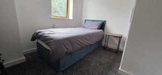 Pet Friendly 2-Bed Apt Sleeps 3 with Parking - 5