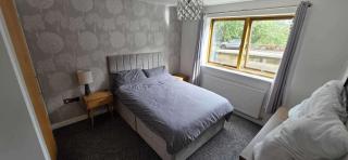 Pet Friendly 2-Bed Apt Sleeps 3 with Parking - 9