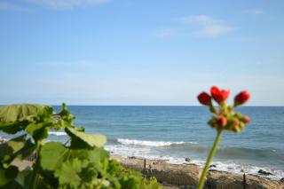 Riva Mare Apartment - Riva Ligure - 2