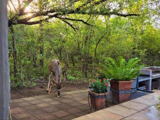 UBEJANI House - 951 Geelvis, Marloth Park - 0