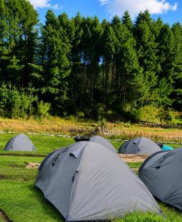 Zion Campsite - 2