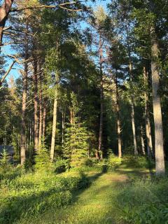 Viinapeedu Farm Holiday Home, Kõrgessaare, Hiiumaa - 6