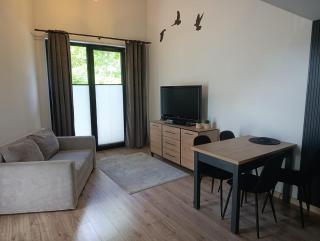 Lofty nad Wartą - FREE PARKING - SELF CHECK-IN - 9
