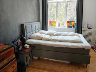 Cecilies cozy Copenhagen home - 3