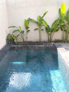 griya Lokasari 2 bed room pool villa - 9