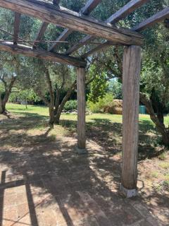 Il Respiro degli Ulivi - 2