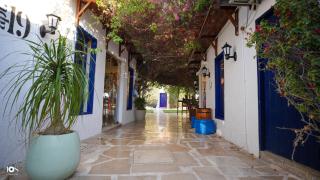 The Avenue - 3