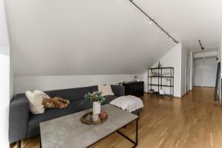 Penthouse downtown Lillehammer - 9