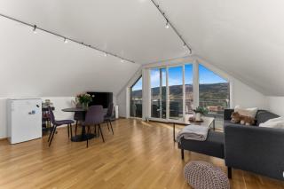 Penthouse downtown Lillehammer - 7