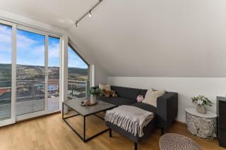 Penthouse downtown Lillehammer - 8