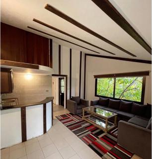 Arida farm - 3