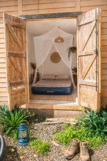 Papaya Camping - 1