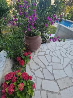 Madera Rosa - 3