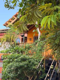 Parrot Tree House - 4
