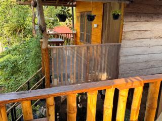 Parrot Tree House - 5