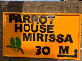Parrot Tree House - 9