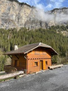 Cosy Alpine Chalet Near MorzineAvoriaz Sleeps 6 - 0