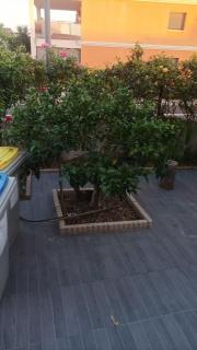 Maison de vacances saisonnière - 6