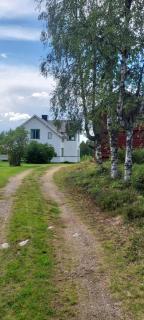 Åsnes Finnskog - 5