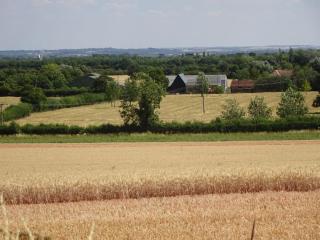 Cute Farm Cottage in quaint, peaceful village - 3