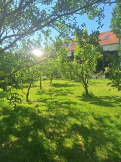 Le clos de Tournes - 0