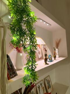 Kailasha Inn-By Safarnama Stays - 7