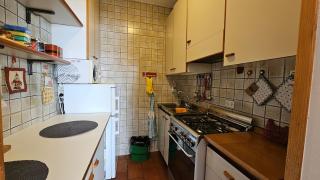 Belvedere Pecol - 4