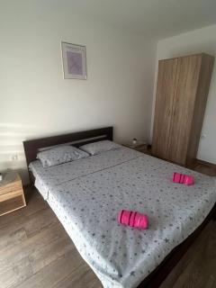 Apartman Šarenac - 1