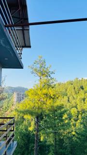 CLOUD HEIGHTS COTTAGE NATHIA GALi - 0