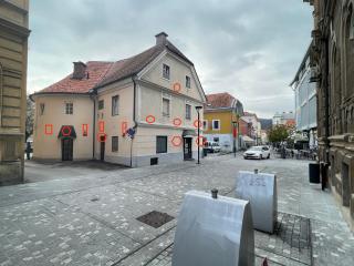 Celje Luxury Apartment - 8