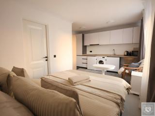 RentHouse ApartHotel Room #1 - 8