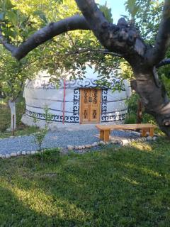 40 Rays Yurts - 4