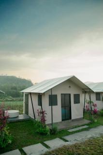 BirdNest Glamping - 3