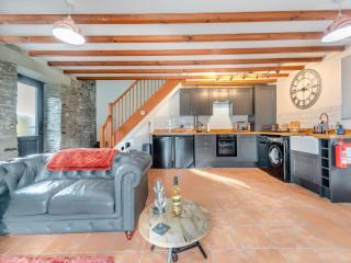 Cwtch Honey - Uk49792 - Cribyn - 7