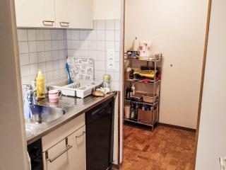 Apartment Chesa Kober Giarsun by Interhome - 2